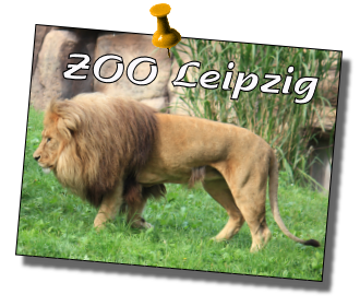 Bilder vom Leipziger Zoo